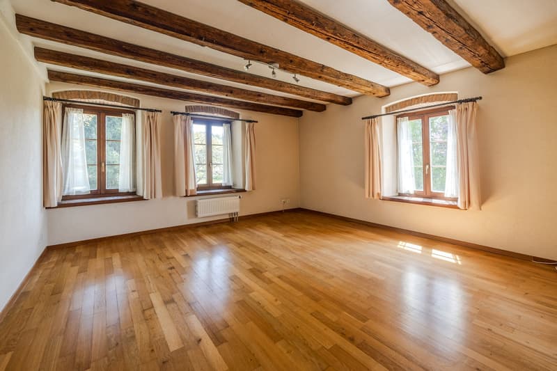 Ancienne ferme vaudoise superbement rénovée avec potentiel (12)