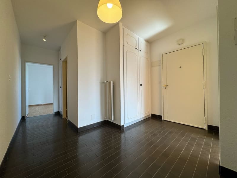 Charmant appartement de 3 pièces à Genève (1209) (2)