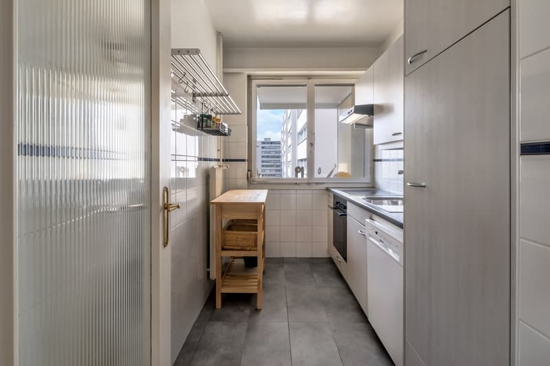 Charmant appartement de 3 pièces à Genève (1209) (4)