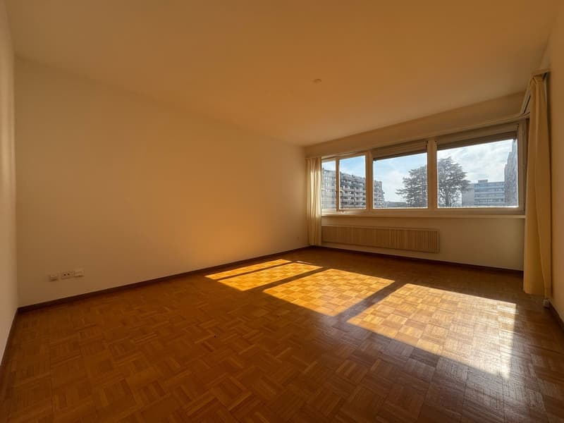 Charmant appartement de 3 pièces à Genève (1209) (1)