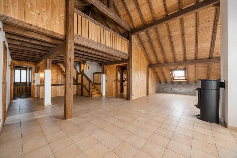 Ancienne ferme vaudoise de caractère - deux logements distincts (12)