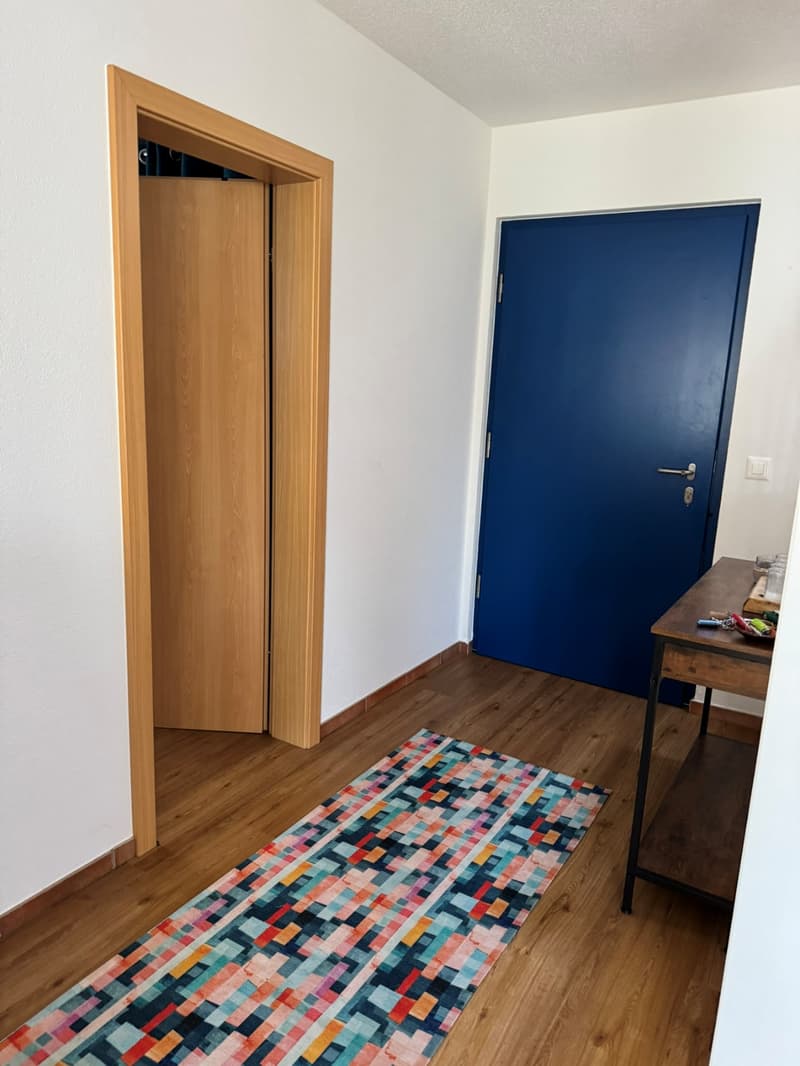 Einzelhaus mit viel Licht und Ruhe in Cudrefin – nur wenige Schritte vom Neuenburgersee entfernt. (7)