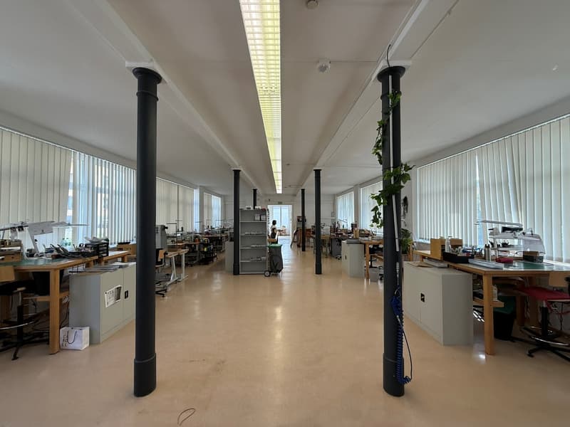 Historisches Industriegebäude zum Verkauf – Rue Beau-Site 17, Le Locle (6)