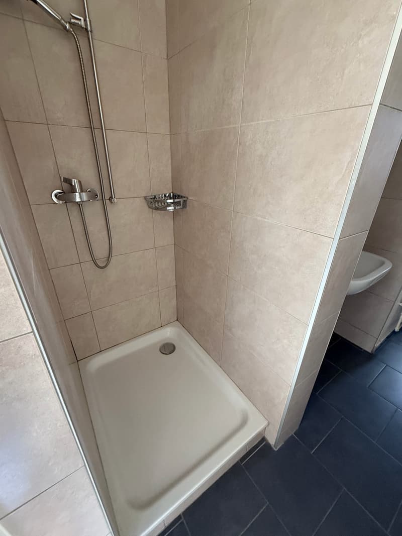 Charmant appartement de 3 pièces au cœur de La Chaux-de-Fonds (8)
