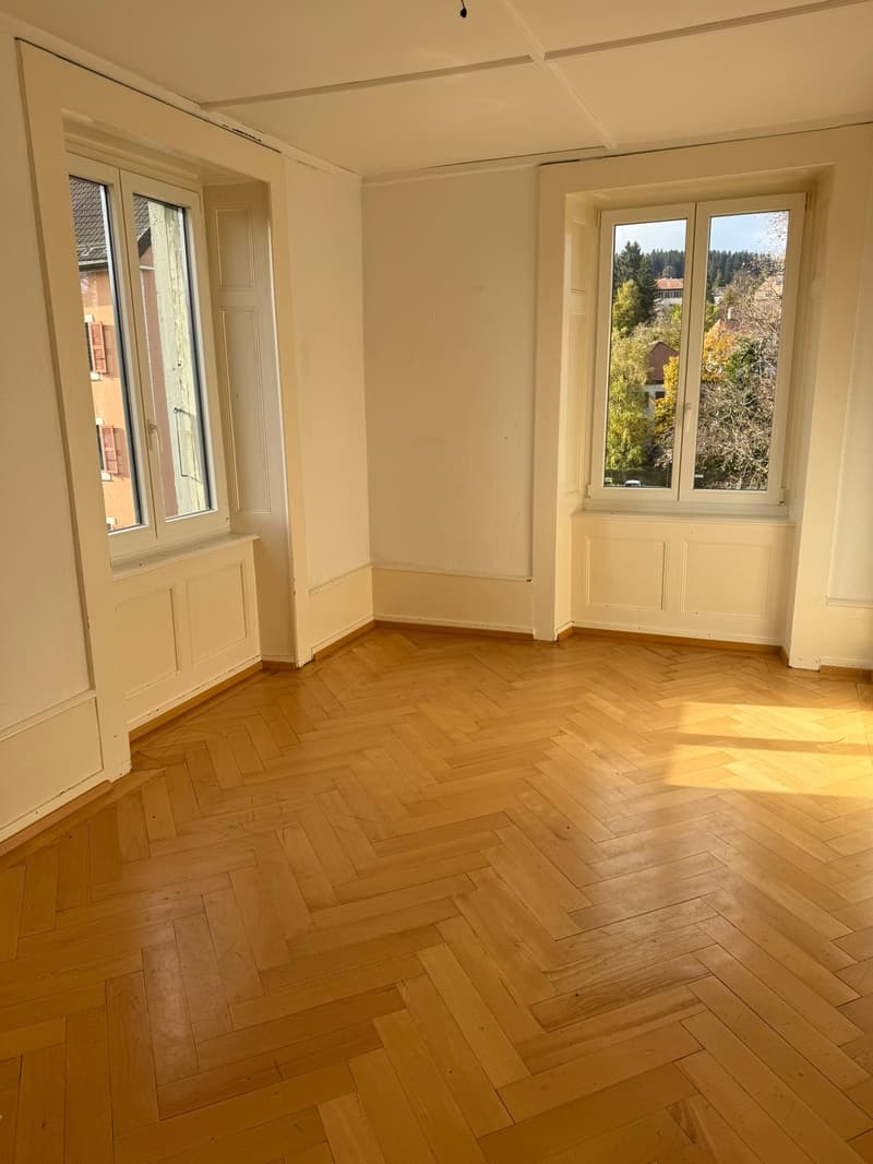 Charmant appartement de 3 pièces au cœur de La Chaux-de-Fonds (13)