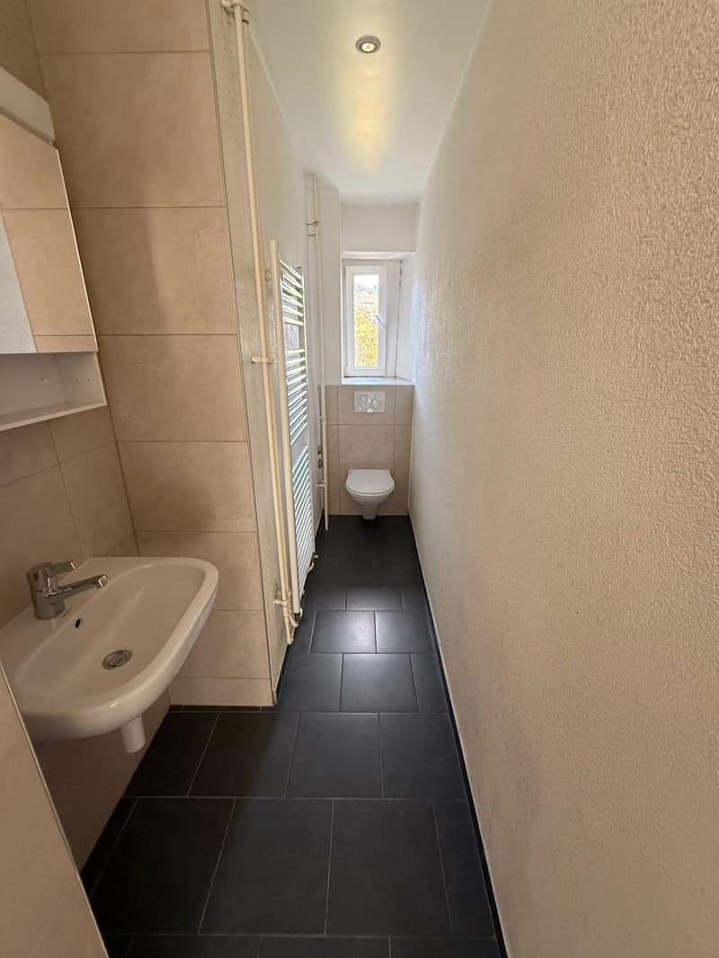 Charmant appartement de 3 pièces au cœur de La Chaux-de-Fonds (9)