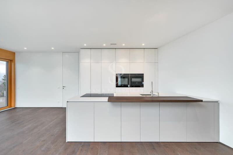 New apartments in Lugano (8)