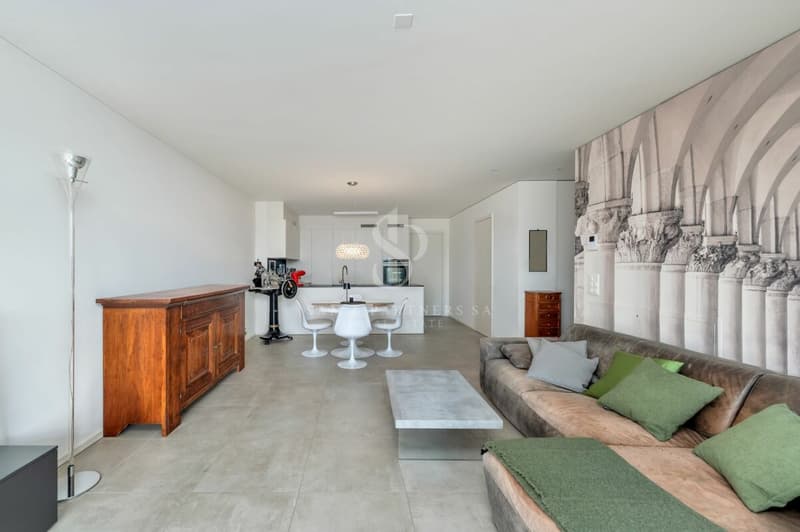 Appartement moderne (2)