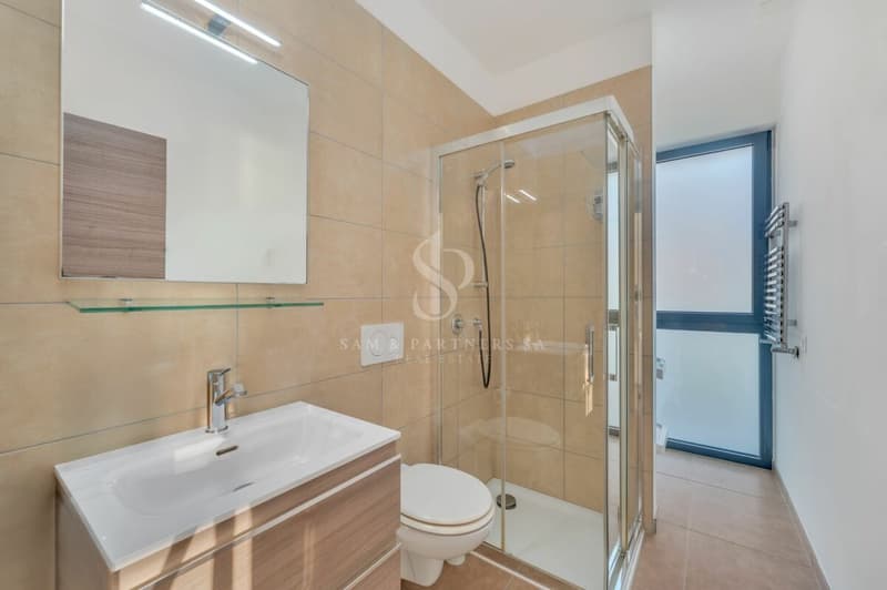Soleggiato Attico in città (12)