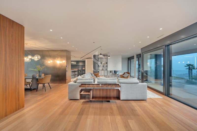 Luxury Penthouse con piscina (4)