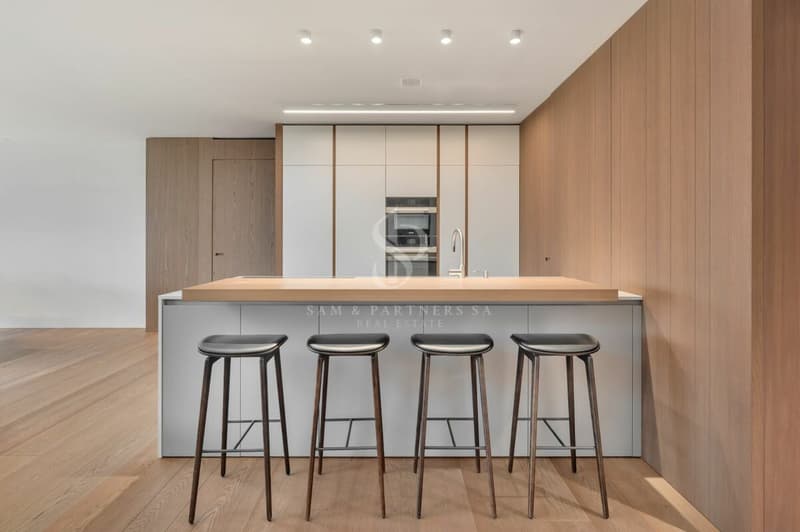Moderne et raffiné (5)