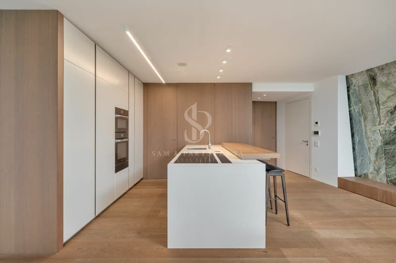 Moderne et raffiné (4)