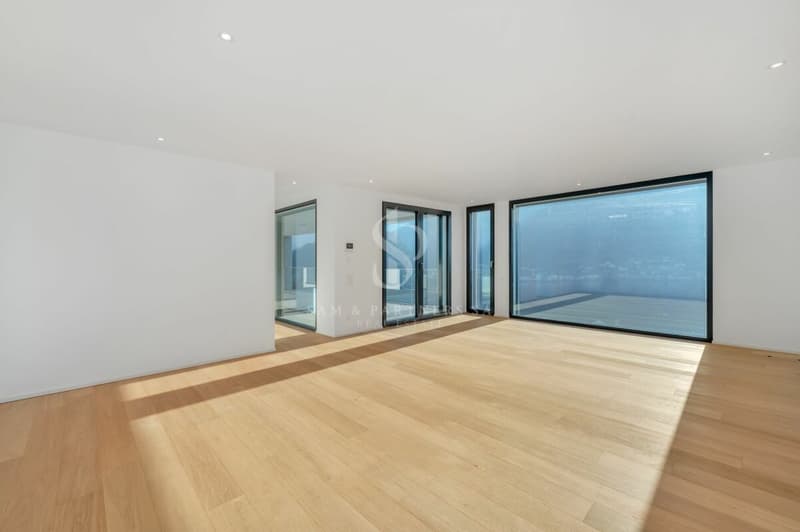 New Villa with Lake View (4)