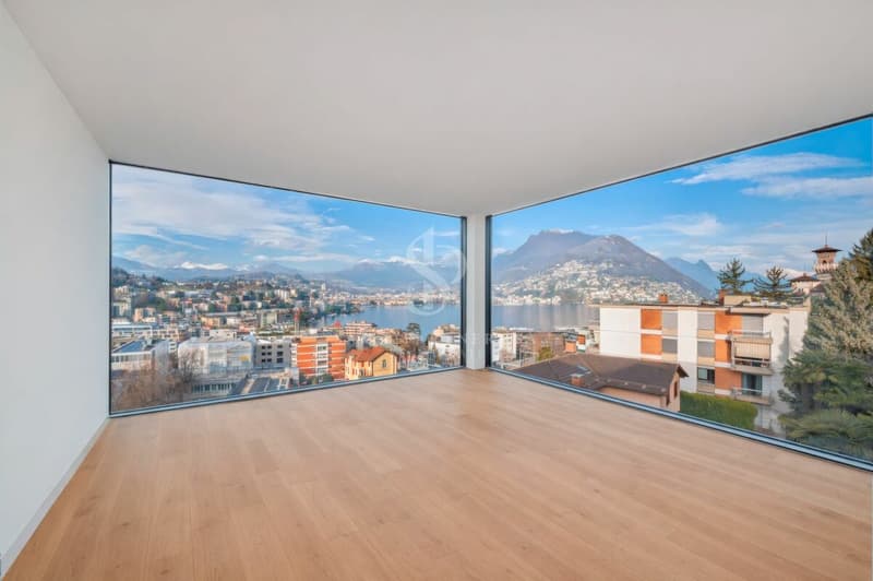 Appartement en attique avec vue sur le lac et la ville (5)