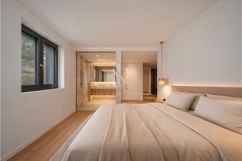 Appartement en attique avec vue sur le lac et la ville (7)