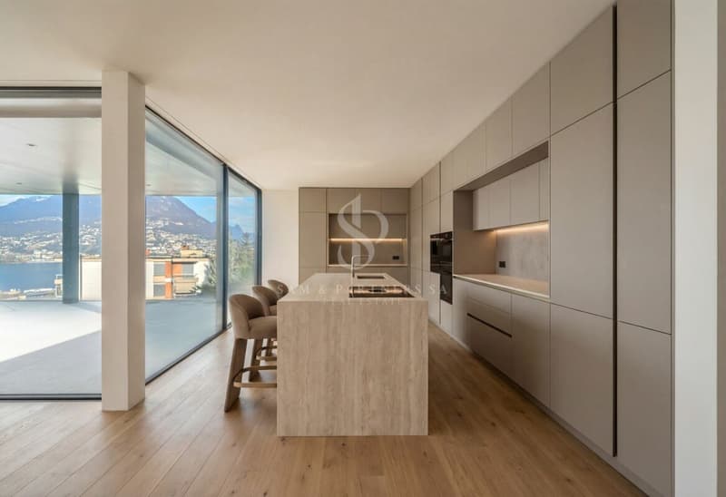 Appartement en attique avec vue sur le lac et la ville (2)