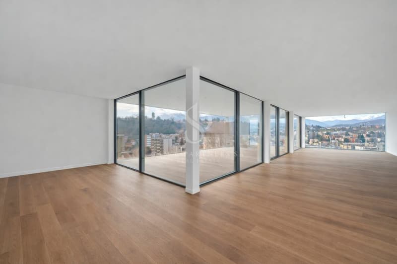 Appartement en attique avec vue sur le lac et la ville (10)