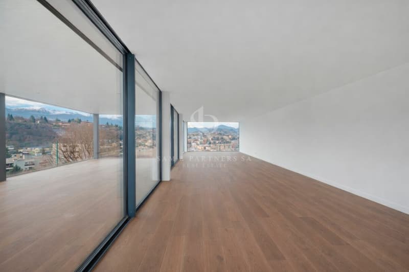 Appartement en attique avec vue sur le lac et la ville (12)