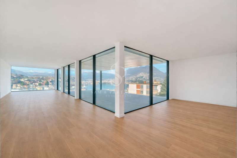 Appartement en attique avec vue sur le lac et la ville (6)