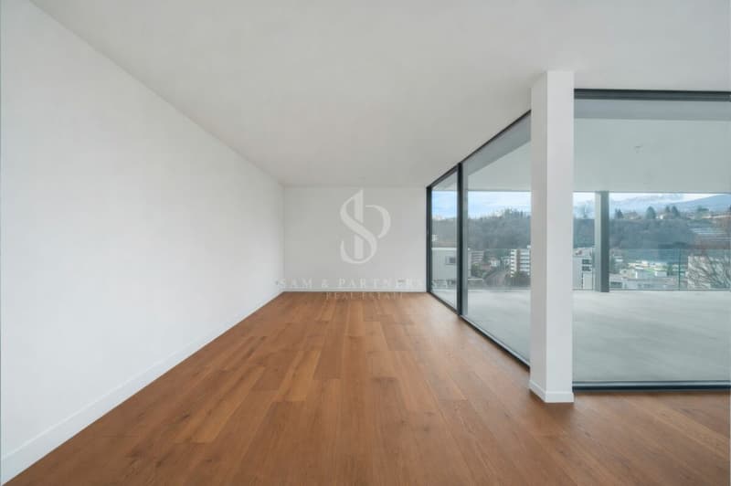 Appartement en attique avec vue sur le lac et la ville (11)