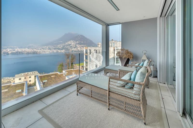 Privacy e vista lago (2)