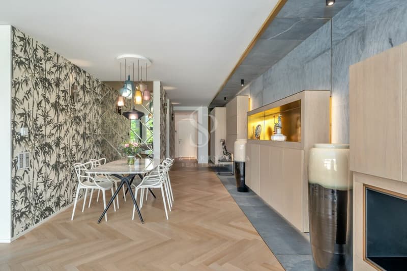 Appartement moderne avec vue sur le lac à Paradiso (8)