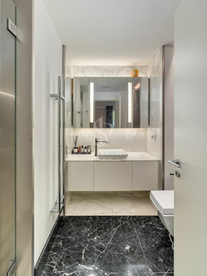 Appartement moderne avec vue sur le lac à Paradiso (13)
