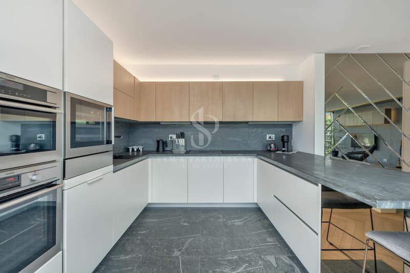 Appartement moderne avec vue sur le lac à Paradiso (6)