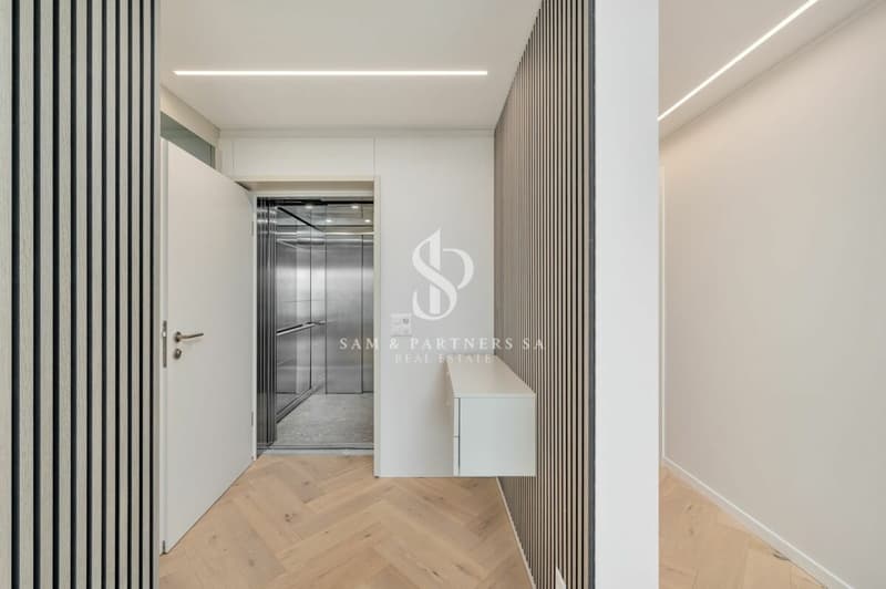 Penthouse avec toit-terrasse et vue sur le lac (7)