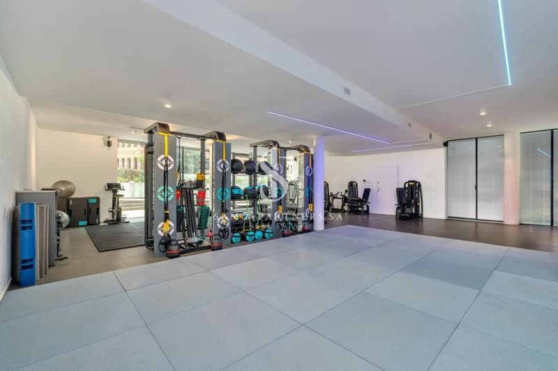 Spazio commerciale (5)