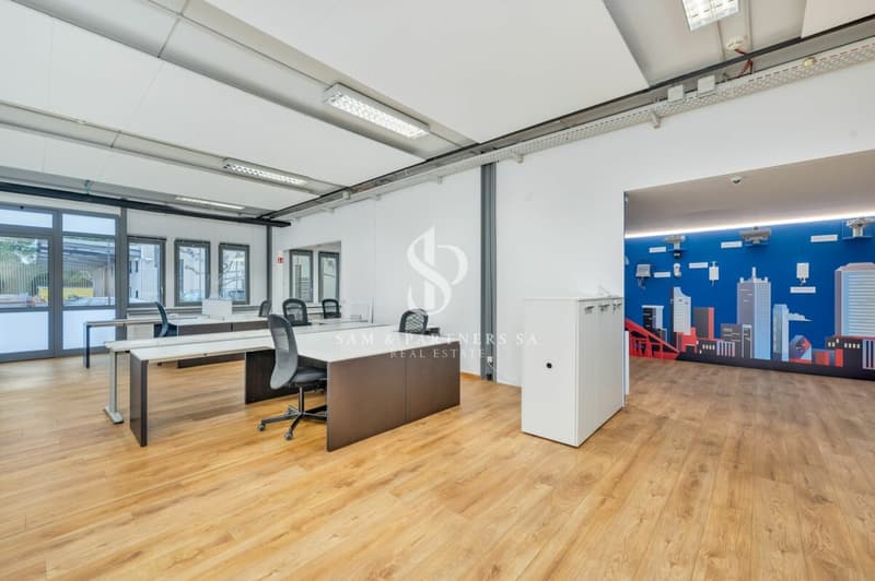 Bureaux modernes (9)
