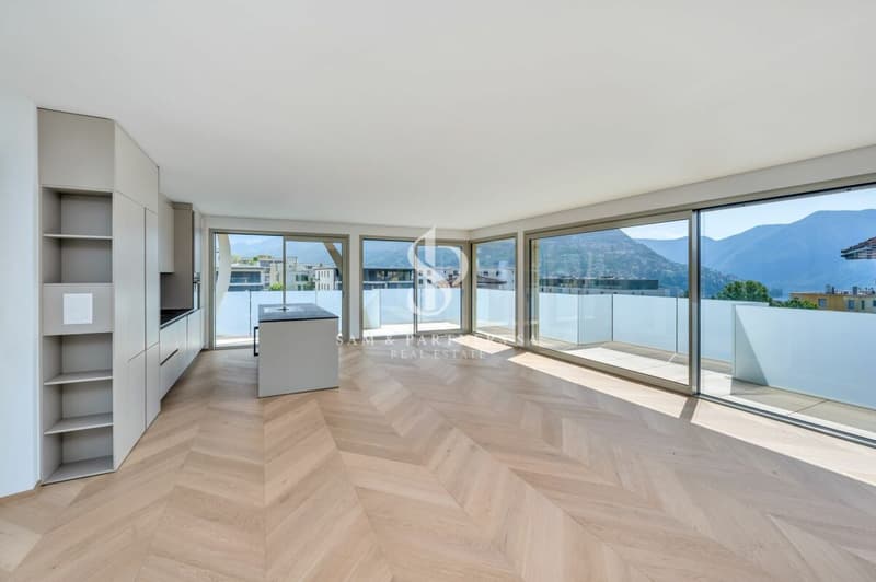 Modern Attic (4)