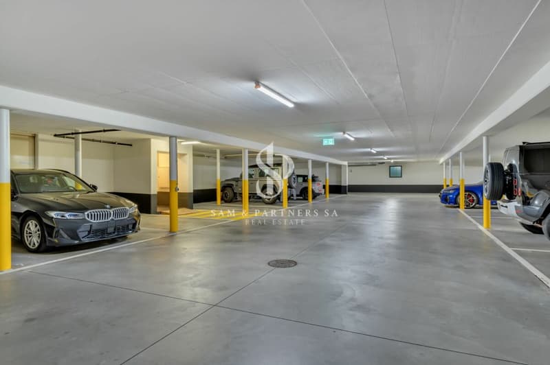 DUPLEX DI 4.5 LOCALI A CASSARATE (15)