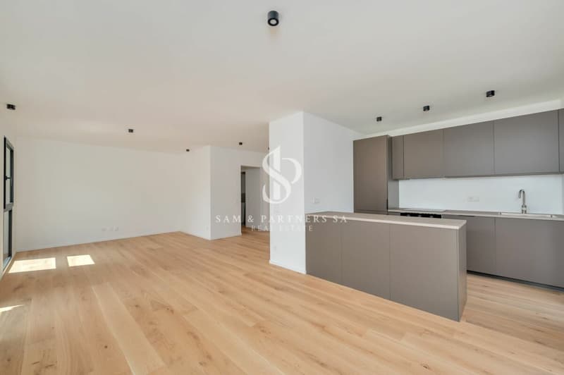 Moderno 3.5 locali con vista lago (1)