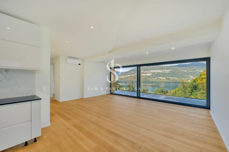 Appartamento con vista lago (4)