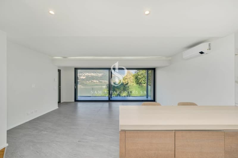 Appartamento con vista lago (3)