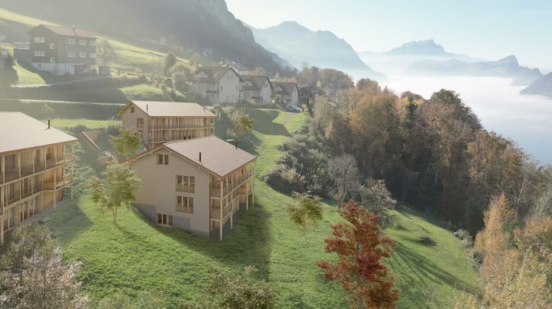 Newly built garden apartment with mountain and partial lake view in Seelisberg (1)