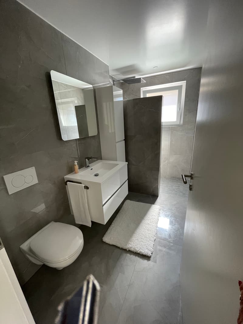 House 6½ rooms – Modern, bright & lake view – Le Landeron (10)
