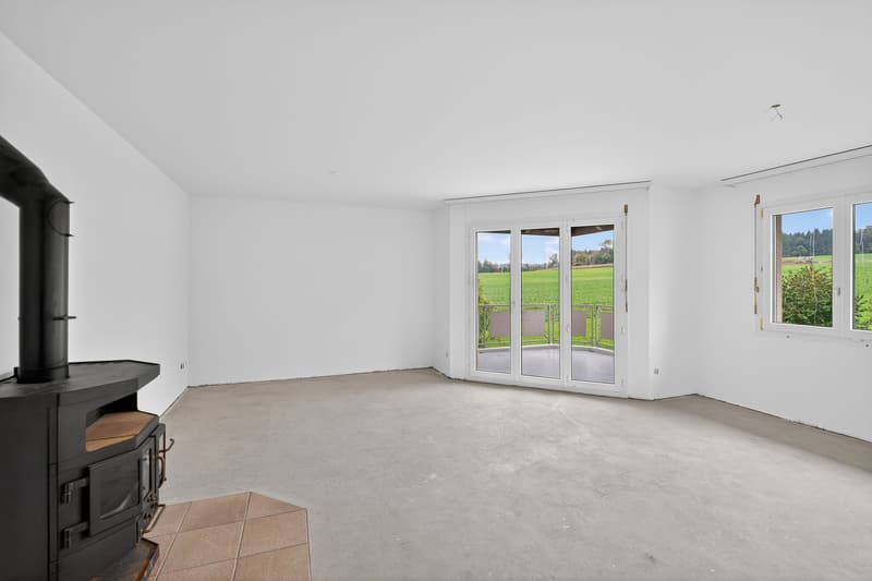 Dream home to finish: renovate to your taste (2)