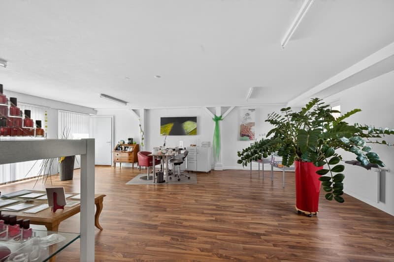 Mehr als nur Wohnen: Atelier, Werkstatt und Einliegerwohnung - perfekt kombiniert (8)