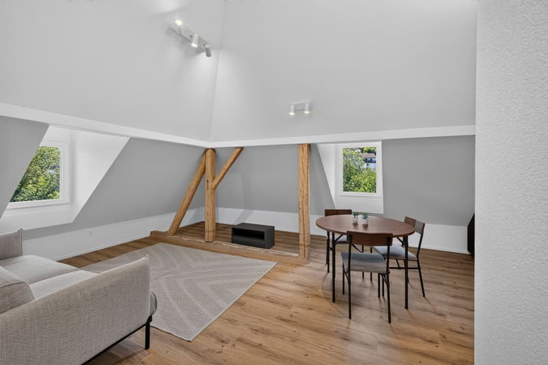 Möblierte Dachwohnung an ruhiger, sonniger Lage (2)