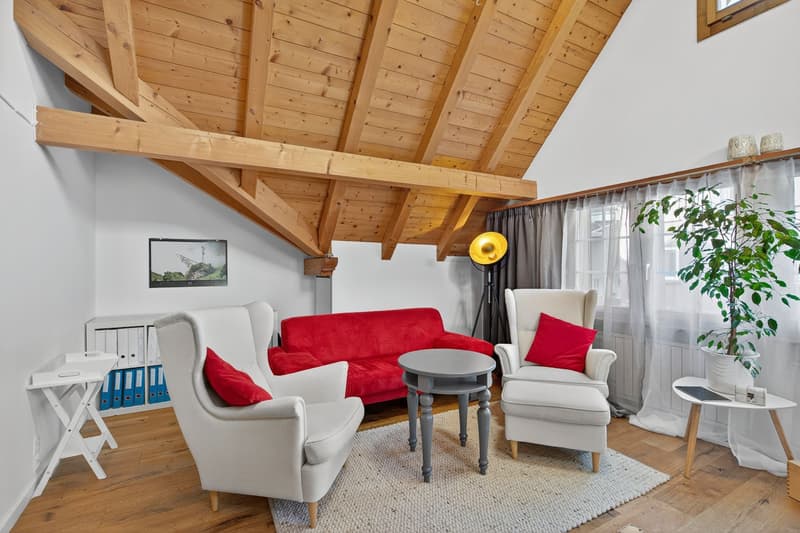 Wohnung oder lieber ein Haus? Raumwunder mit besonderen Vorteilen (5)