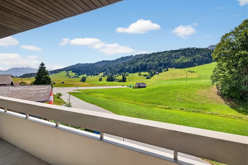 Sonniges 2.5-Zimmer-Feriendomizil mit Bergsicht, Loipe und Skilift vor der Tür (4)