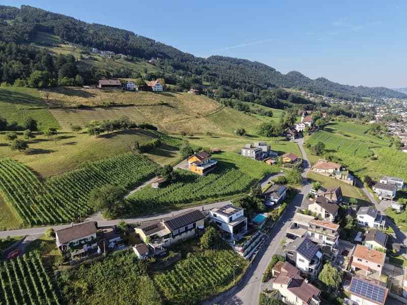 Baulandparzelle am Südhang mit Weitsicht über das Rheintal (7)