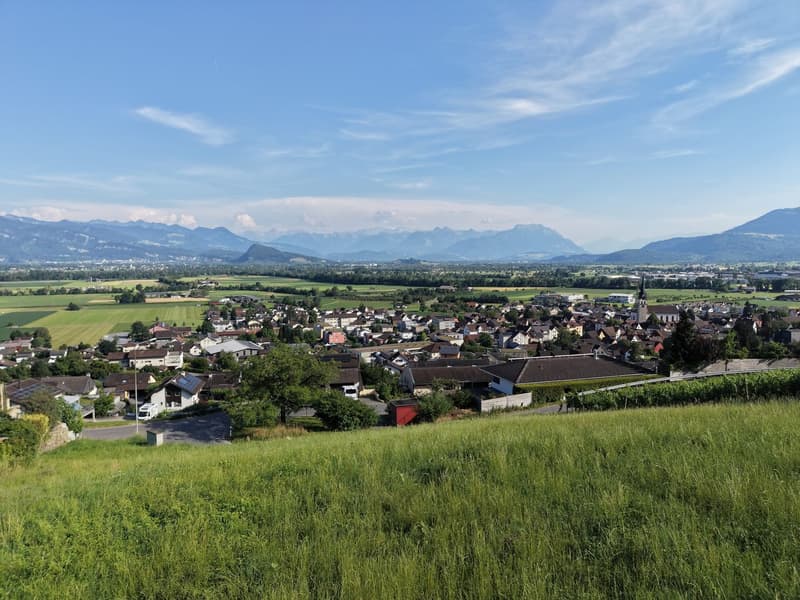 Baulandparzelle am Südhang mit Weitsicht über das Rheintal (5)