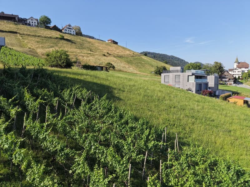 Baulandparzelle am Südhang mit Weitsicht über das Rheintal (4)