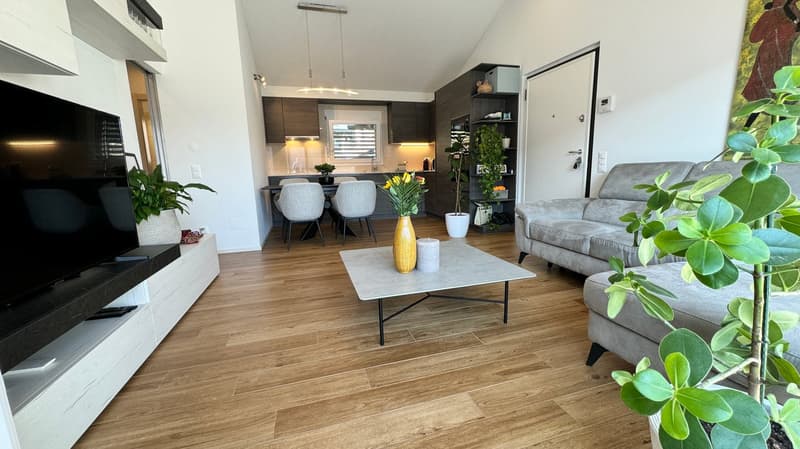 Modern attic of 3.5 rooms with panoramic view in Taverne (4)