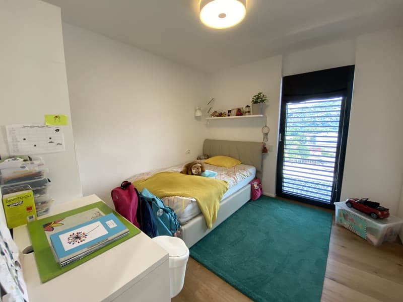 Single bed, desk, rug, shelves, storage boxes, toys, plants, lamp