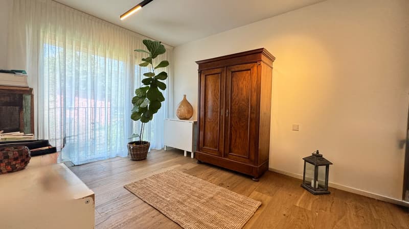 Spectacular 3½-room apartment with terrace (8)