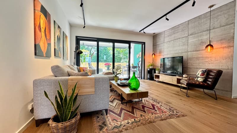 Spectacular 3½-room apartment with terrace (3)